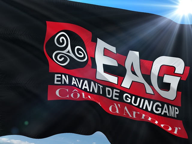 回归